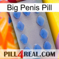 Big Penis Pill 21